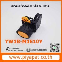 YW1B-M1E10Y รูปโชว์